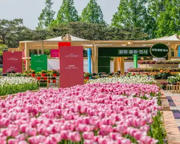 고양 꽃박람회_17