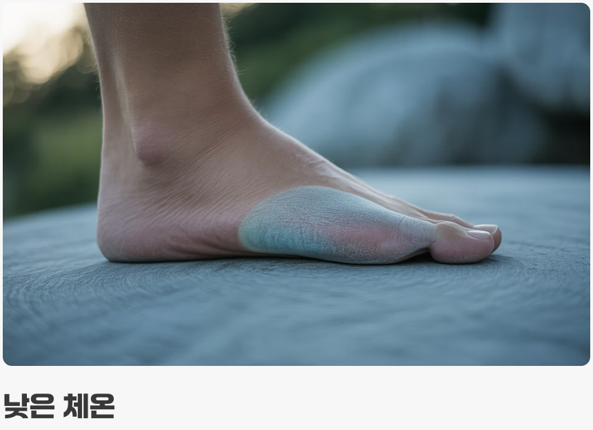 왜 하필 엄지발가락일까?