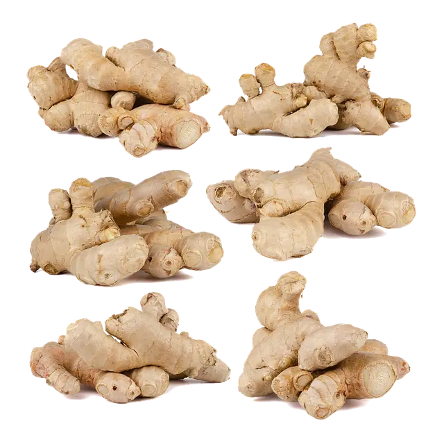 생강 심는 시기 수확 시기 생강 심는 방법