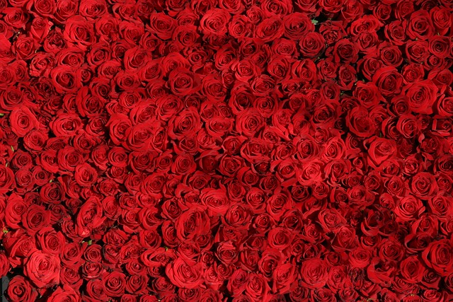 생리꿈 생리꿈해몽 생리터지는꿈 생리하는꿈 옷에묻는꿈 몸에묻는꿈 폐경꿈