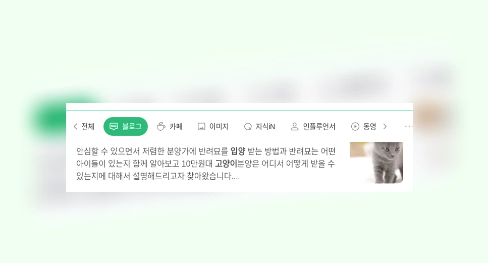 고양이 입양_1_subsection