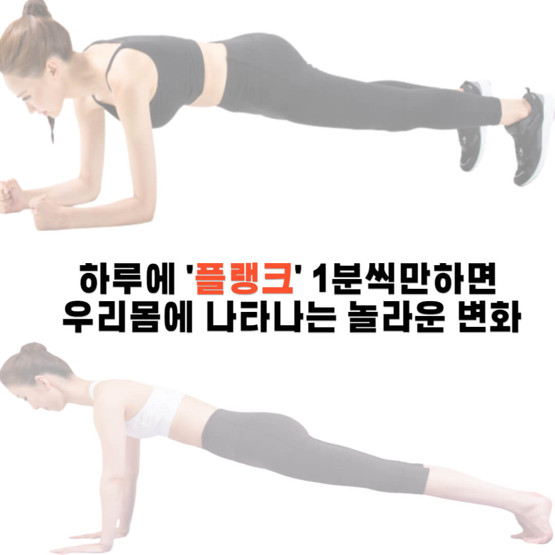 플랭크 운동효과
