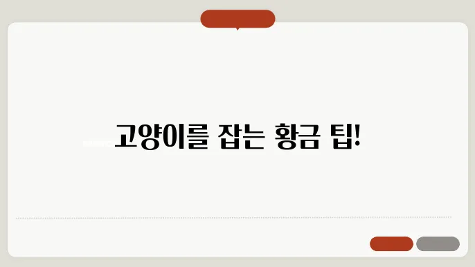 고양이 잡는법