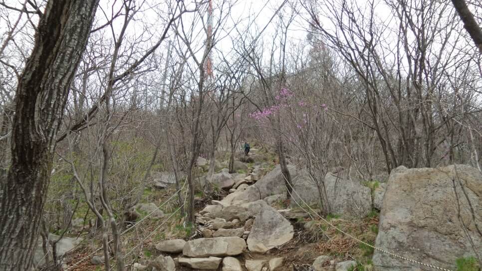 100대 명산 등산하기 서른네번째 대구 팔공산 누구나 즐길 수 있는 산이면서도 전문가들이 찾는 깊은 매력까지 갖춘 명산