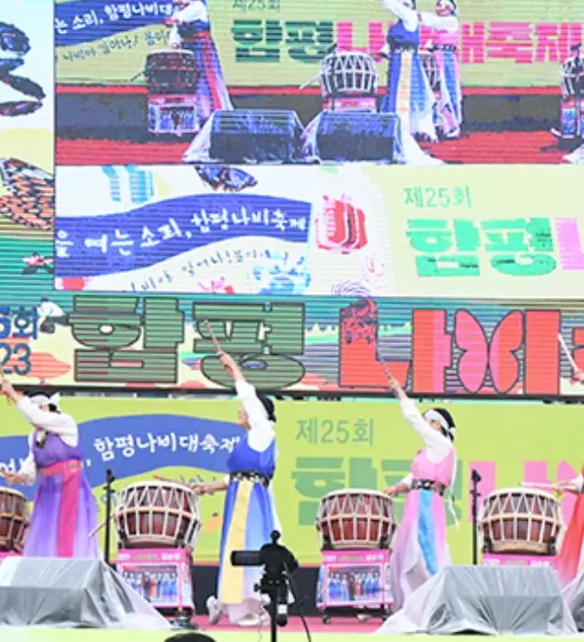 함평나비축제 기간, 주차장, 행사내용