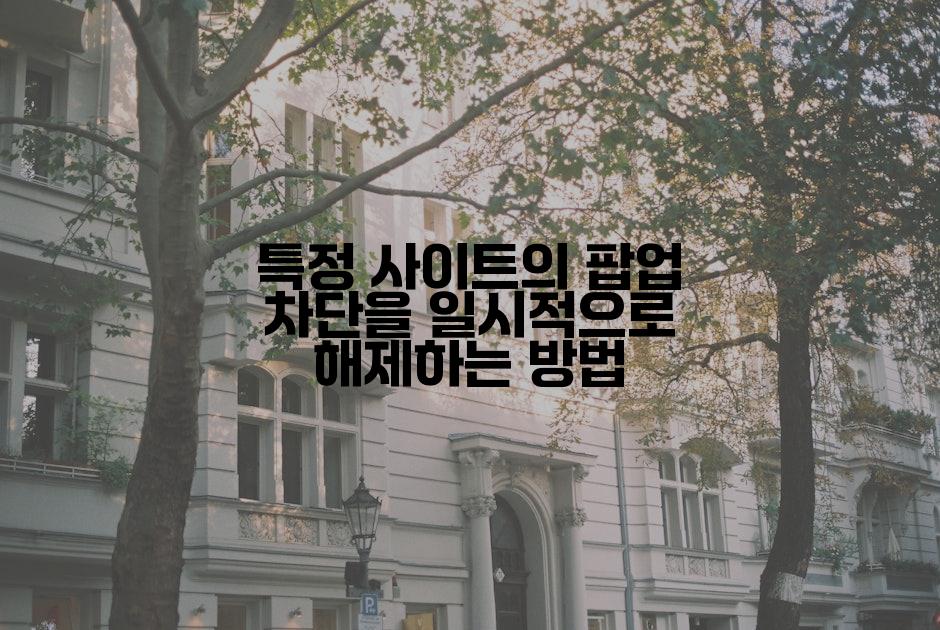 특정 사이트의 팝업 차단을 일시적으로 해제하는 방법