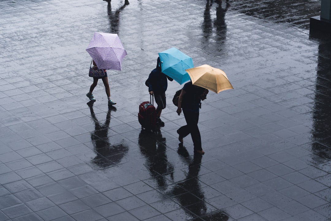 Umbrella