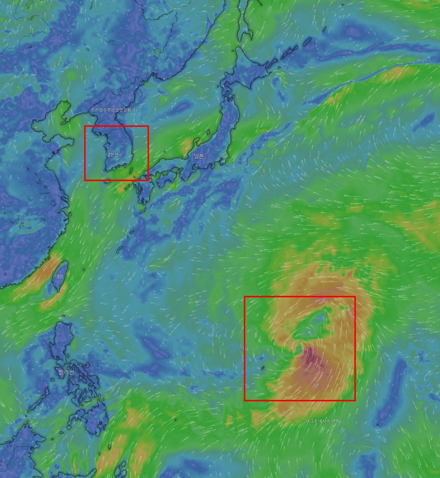 25호 태풍 두쥐안