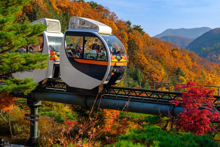 2025년부터 화담숲 예약하기