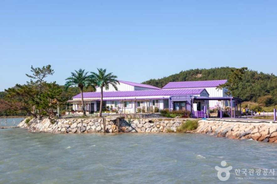 생생정보 보라마을