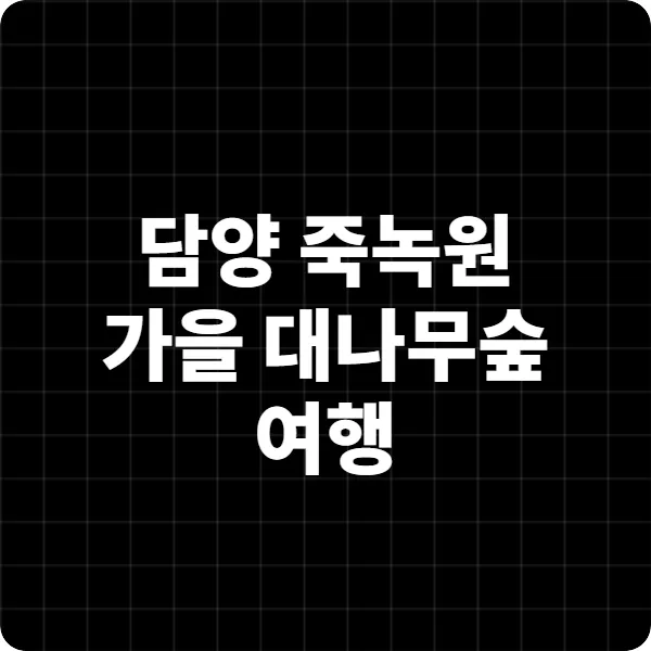 담양 죽녹원 가을 대나무숲 여행