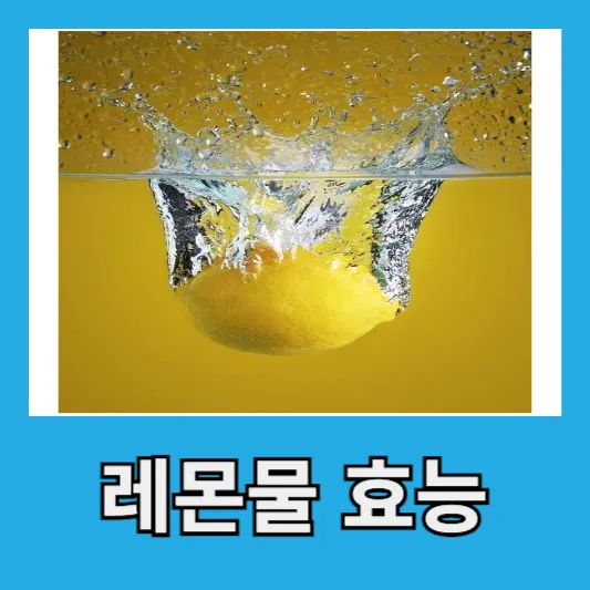 레몬물 효능