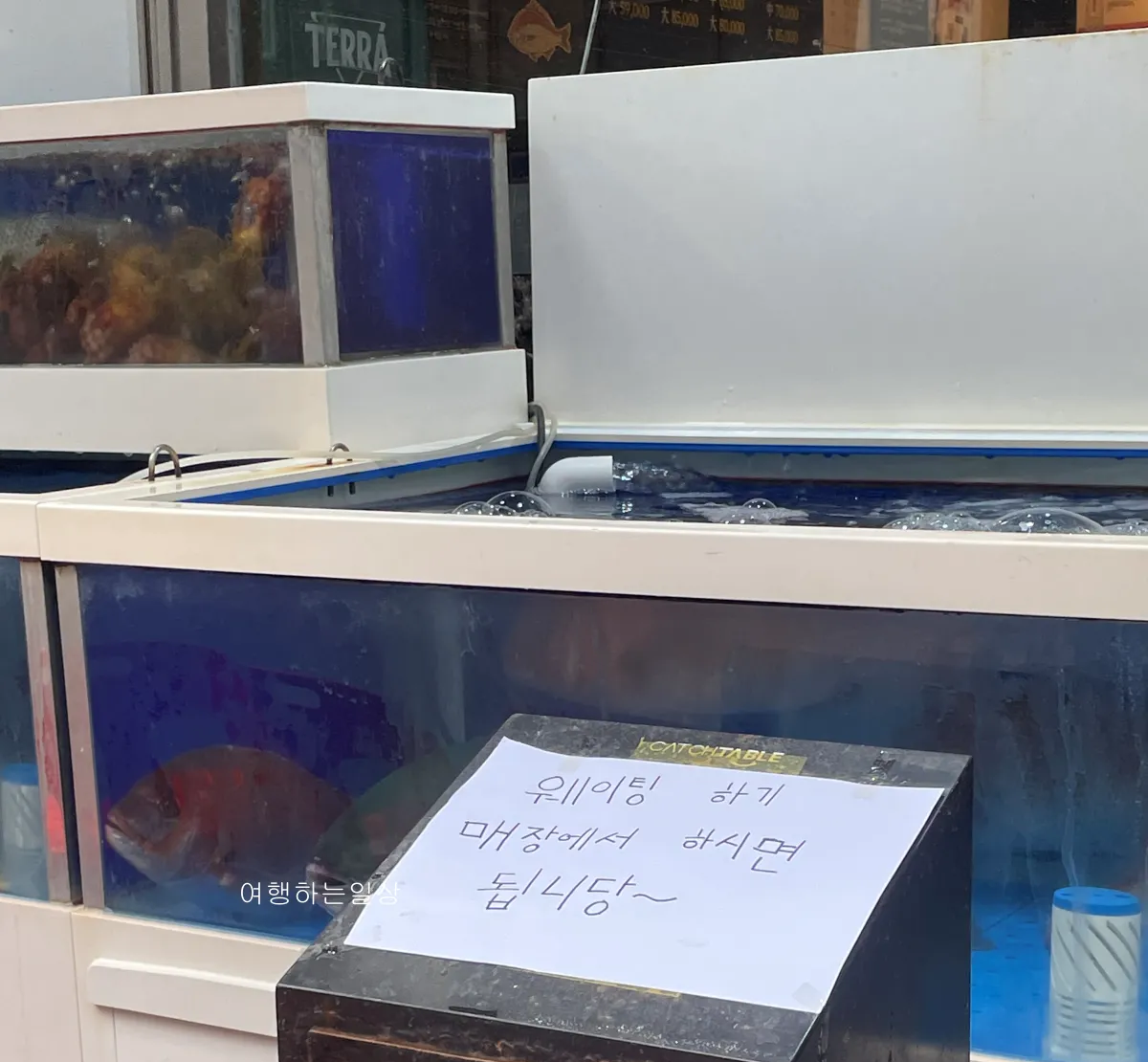 수유-강북구-가성비-횟집-추천-진호힛집-평일-웨이팅-방어-우럭-광어-후기