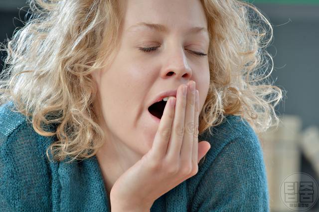 감식초효능 감식초매일먹으면 춘곤증