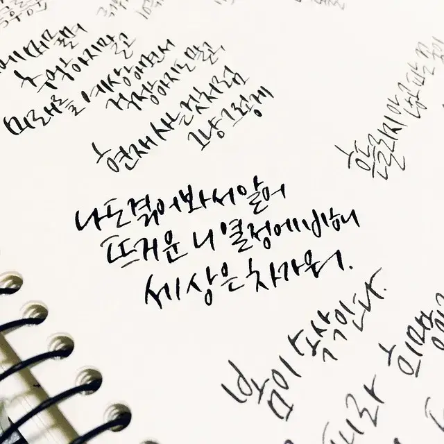 언어와 사고의 관계 : 언어적 상대성 이론과 실험 사례 분석