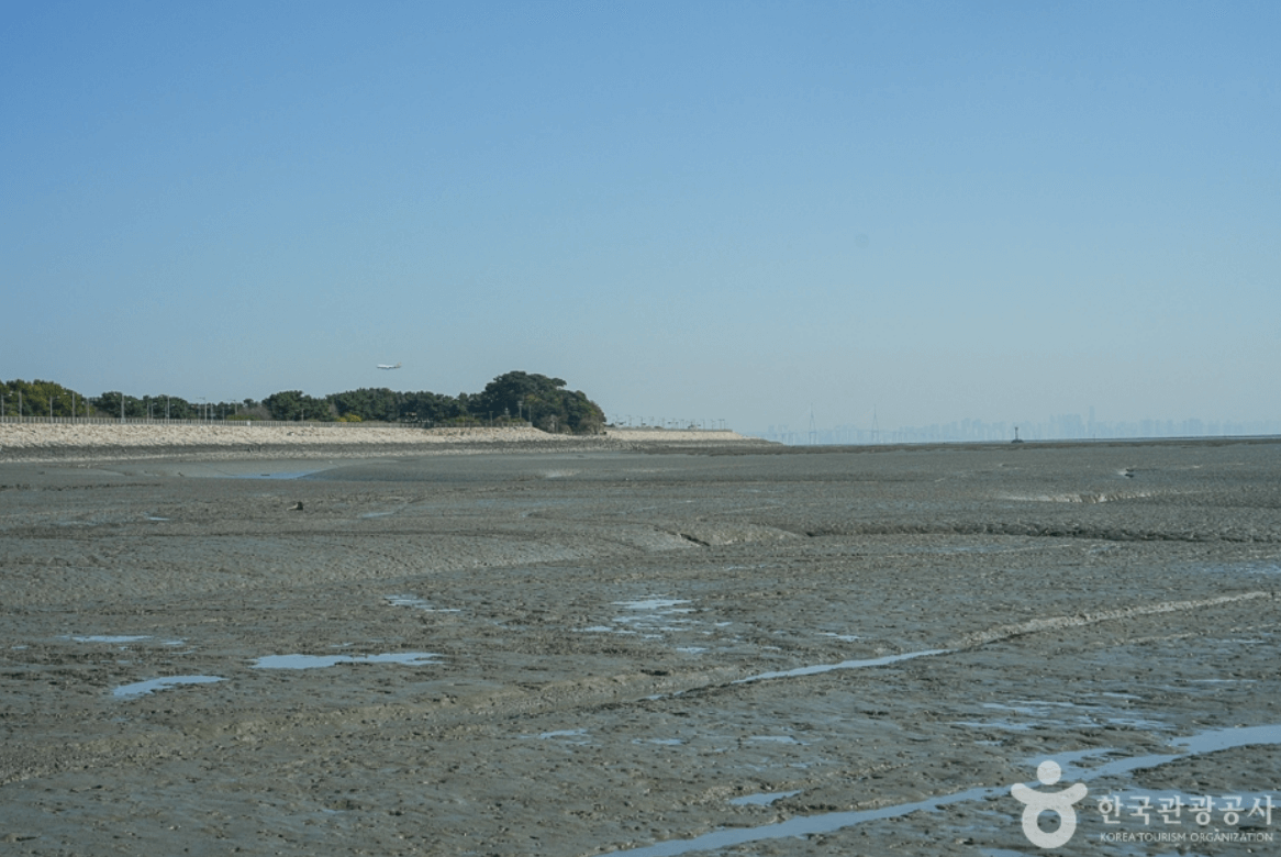 거잠포해변 (중구)