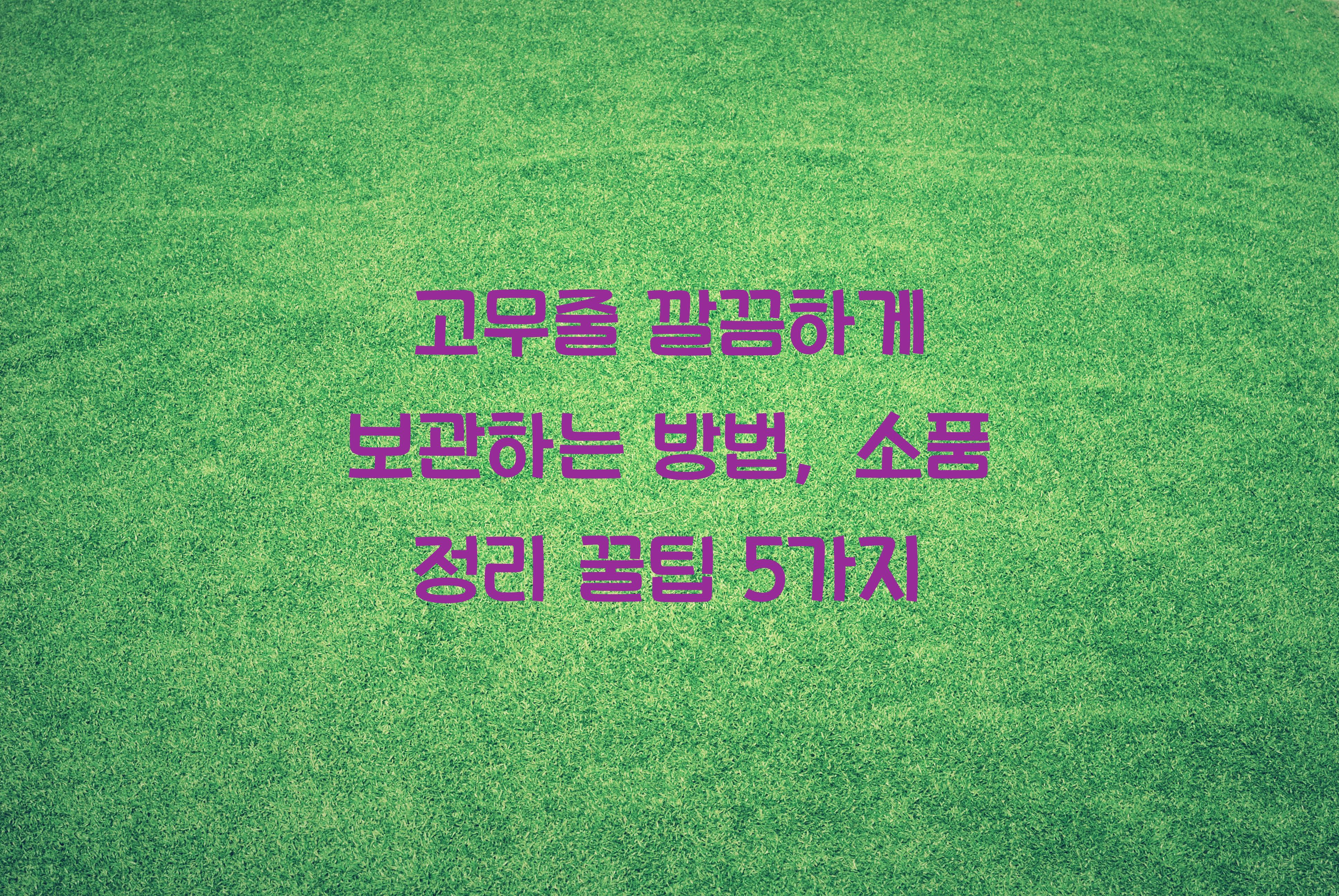 고무줄 깔끔하게 보관하는 방법