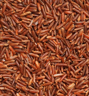 현미 효능과 부작용 영양성분 칼로리 다이어트