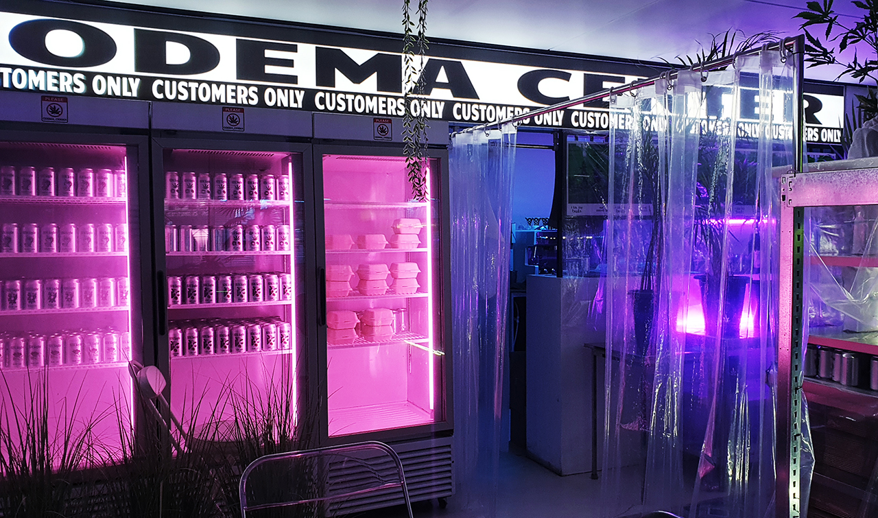 타입나누기 초월체 오대마