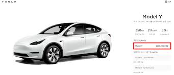모델 Y