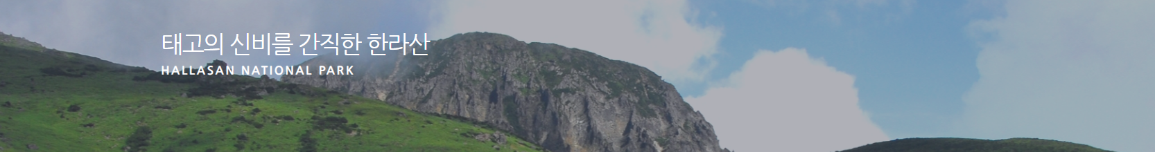 2025 한라산 단풍구경🍁 영실·어리목·절정 시기·등산 코스 총정리!