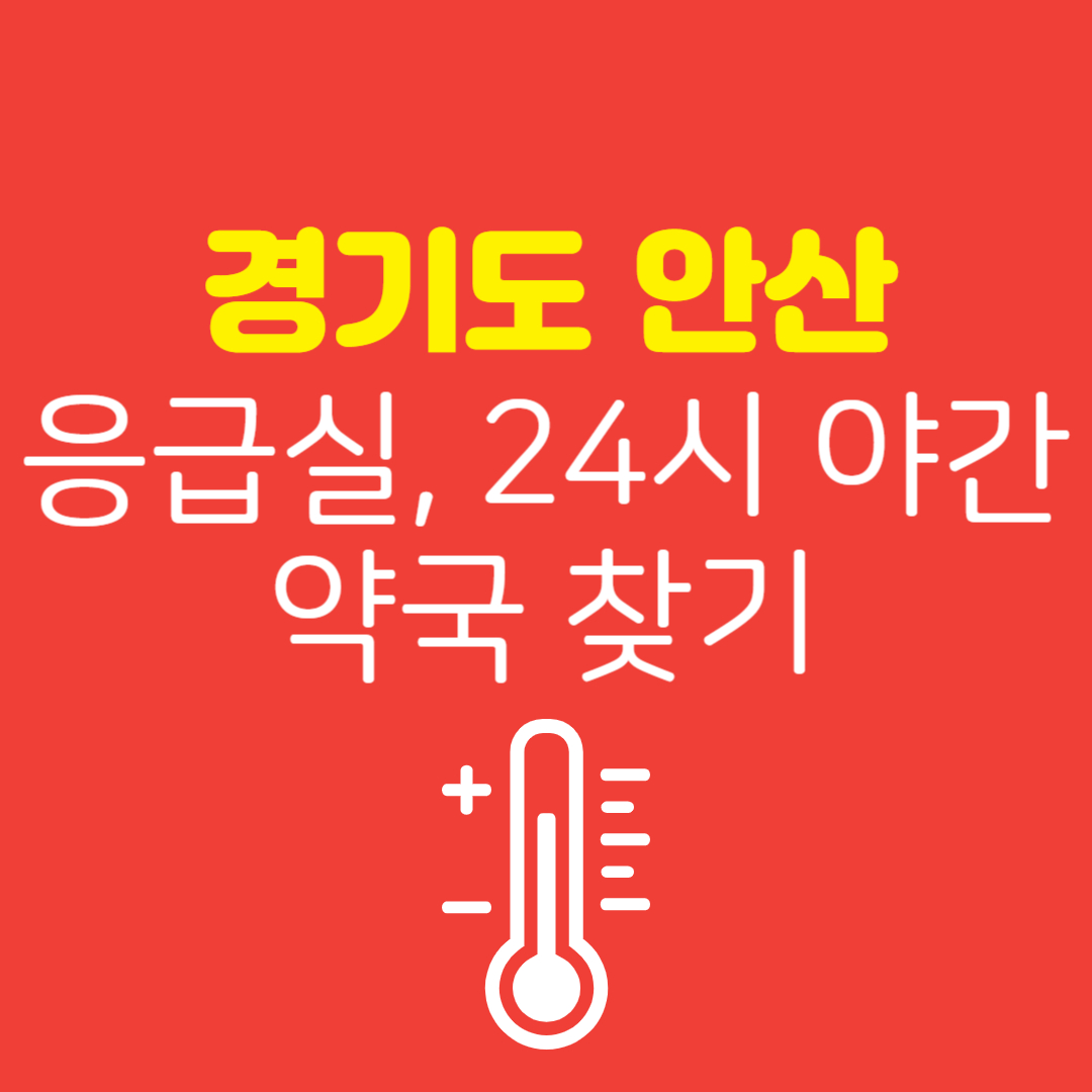 경기도 안산 응급실 &amp; 24시 야간약국 찾기