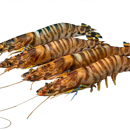 보리새우의 효능과 요리법&amp;#44; 부작용 알아보기