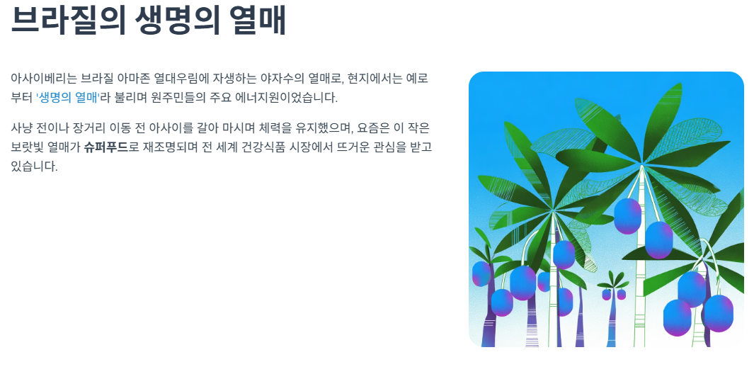 아사이베리란? 브라질의 생명의 열매