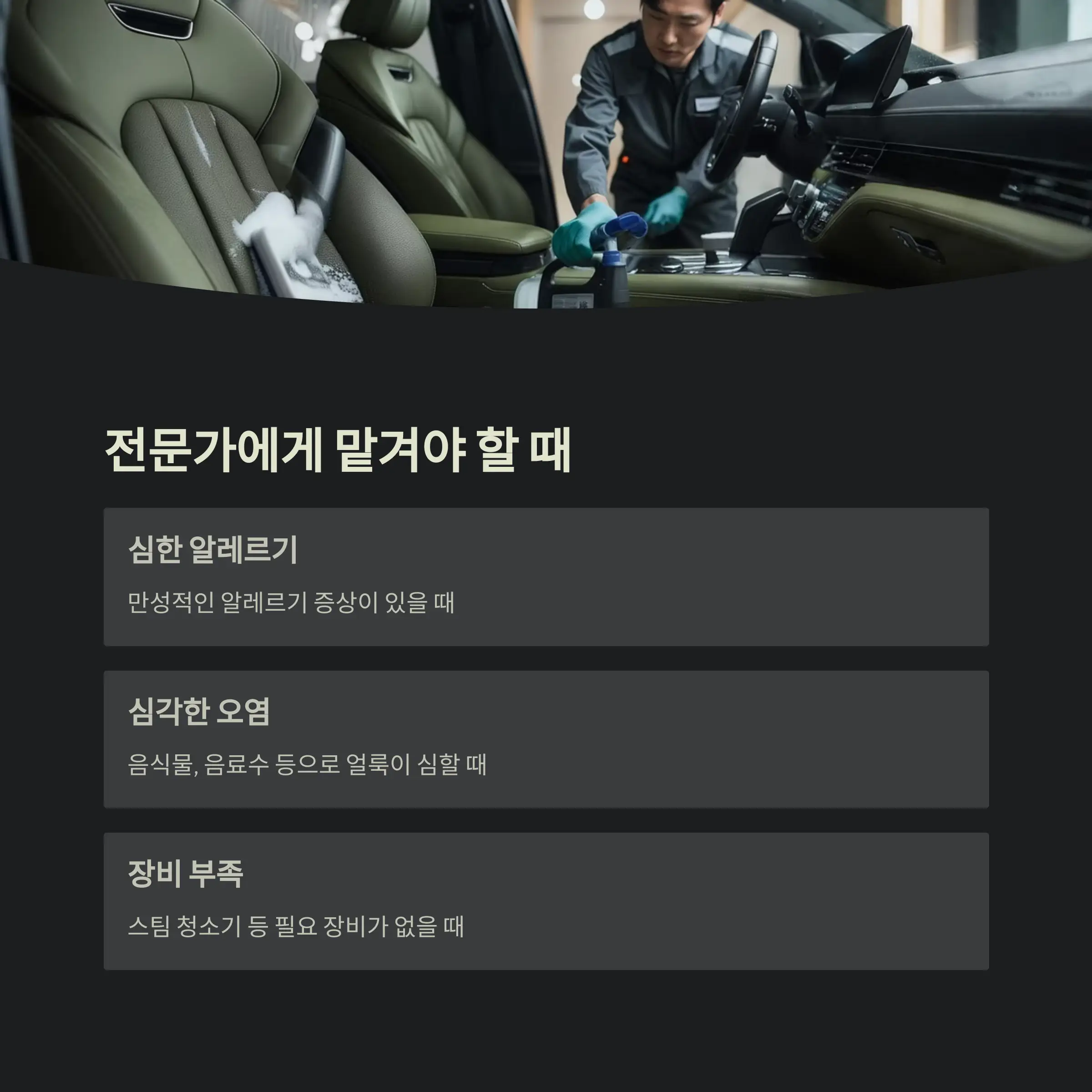 차량 진드기 제거 정보