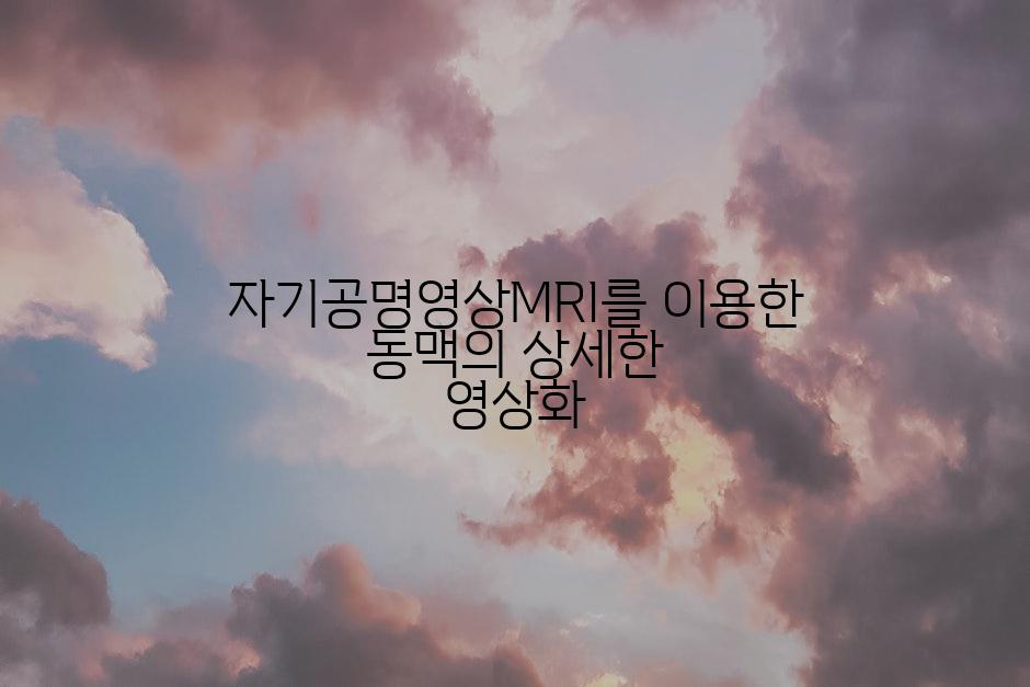 자기공명영상MRI를 이용한 동맥의 상세한 영상화