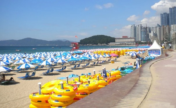 [여름휴가지 추천] 지역별 핫플레이스 해수욕장 개장일 - 해운대&#44; 망상&#44; 대천&#44; 함덕&#44; 학동흑진주몽돌&#44; 진하&#44; 신지명사십리&#44; 격포