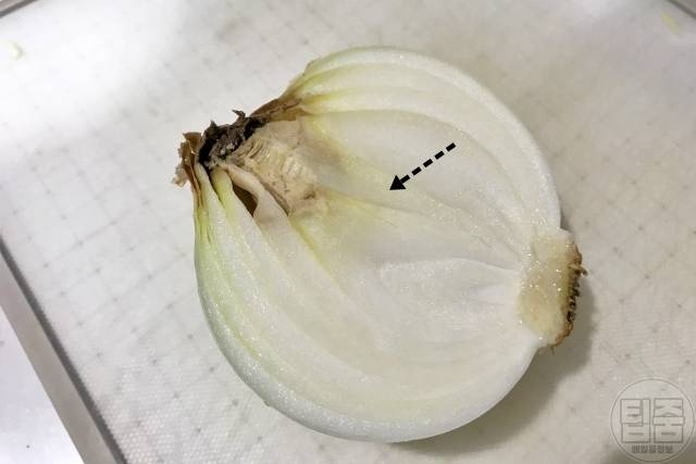 양파 썩은 부분 곰팡이 썩은양파 구별법