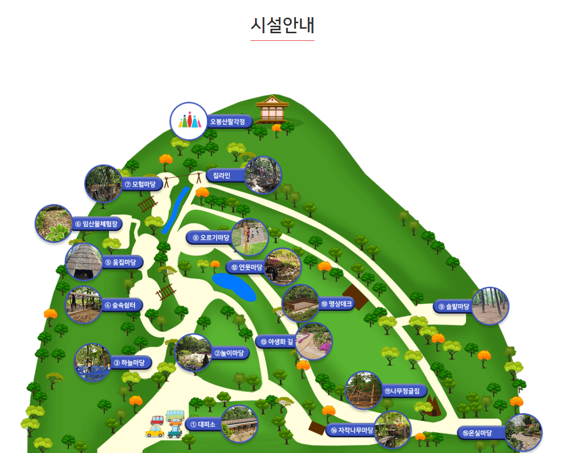 아이랑 인천 가볼만한곳 추천! 오봉산유아숲체험원 체험 프로그램 총정리