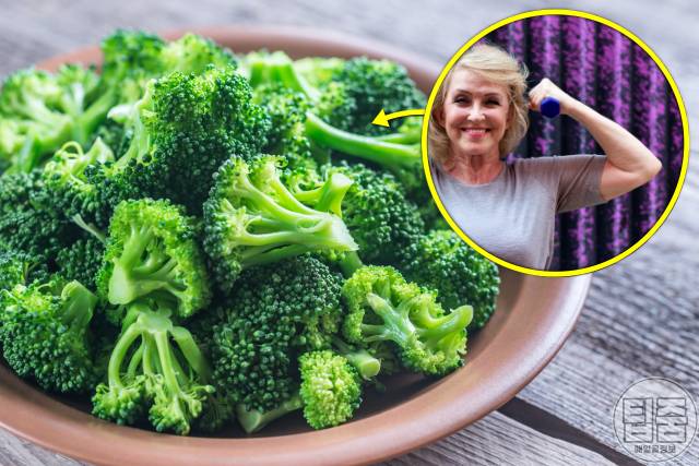 체력 회복에 좋은 음식 브로콜리 피로회복제 추천