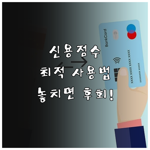 연체 제로 신용카드 사용 최적화 신용..