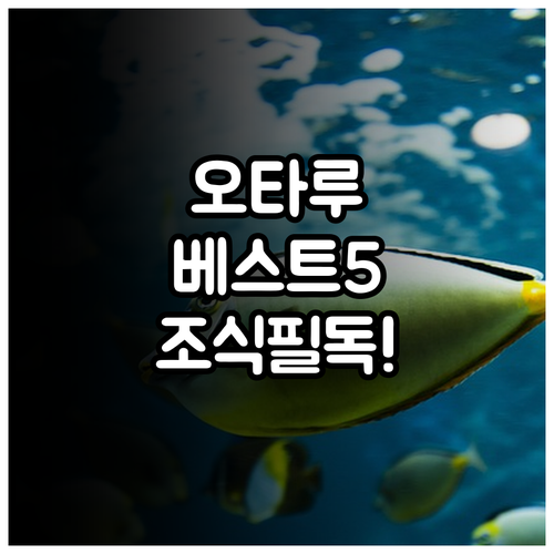 오타루 숙소 추천 5곳 위치부터 조식..