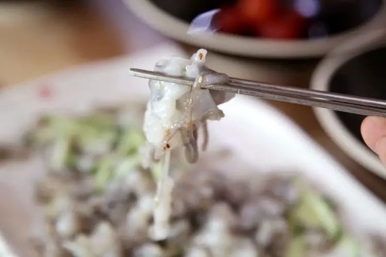 국내산 낙지로 만든 낙지볶음 & 낙지 물회 맛있는 곳 추천