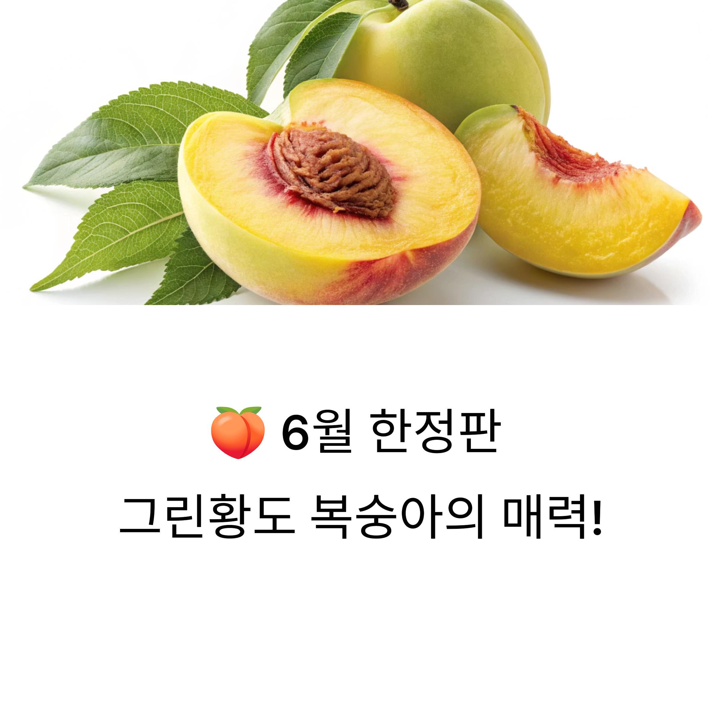 복숭아 마니아라면 놓치면 후회! 6월 제철 과일, 그린황도 복숭아
