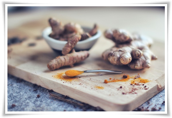 &quot;생강 심기&quot; 텃밭의 보물, 4월 ~ 5월 초 생강 심기로 건강과 맛을 동시에!