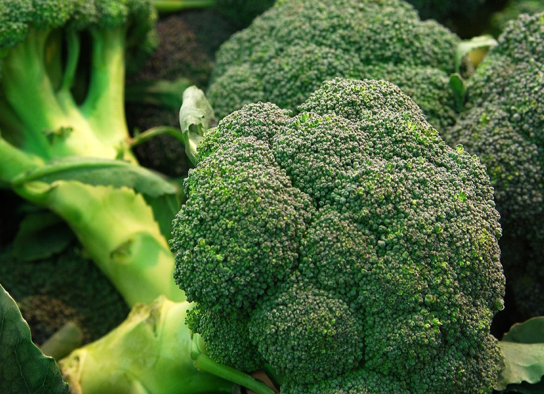 브로콜리 효능 및 부작용