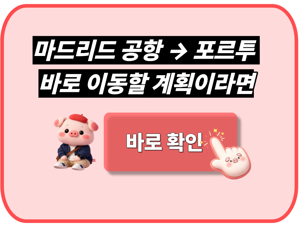 마드리드 공항에서 포르투 가는 법, 버스 예약부터 도착지까지 정리