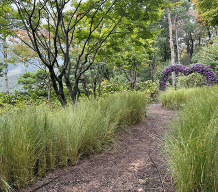 화담숲 예약 방법