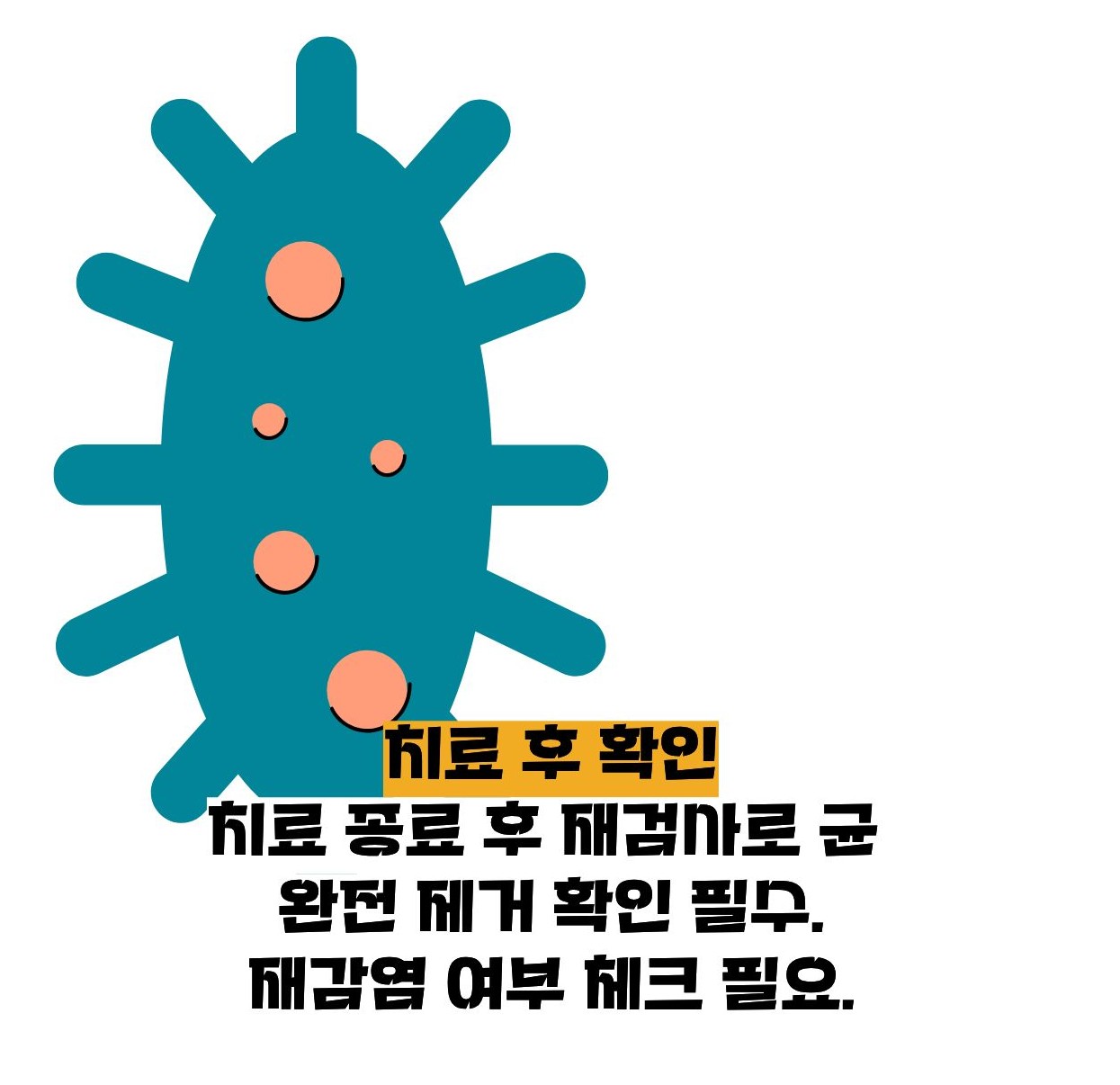 헬리코박터균 제균치료