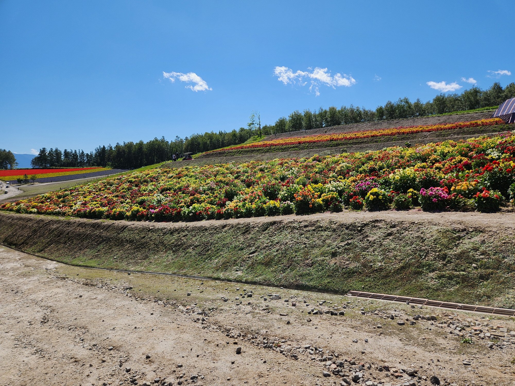 사계체 언덕 - 20