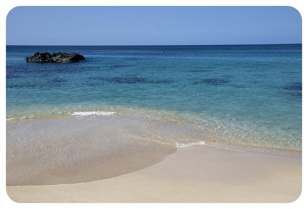 와이메아-베이-해변-바닷가-낮-찍은-사진