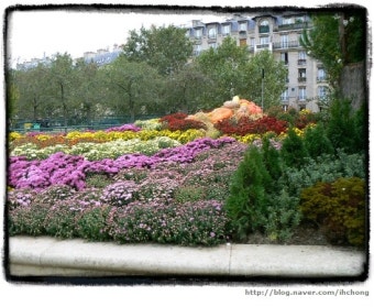 영화 《Before Sunset (2004)》 – 9년 만의 재회, 그 속에 깃든 사랑과 시간