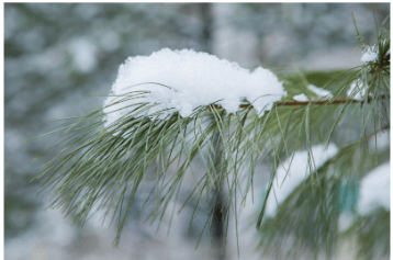 자동차 눈 제거 용품 방법