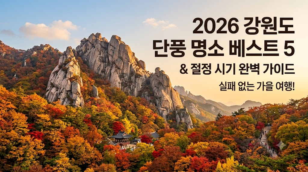 강원도 단풍 명소