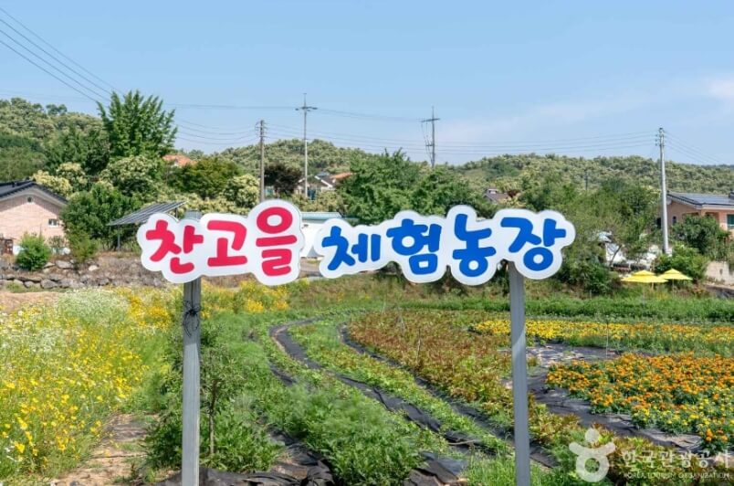 청양 가볼만한곳 베스트 10