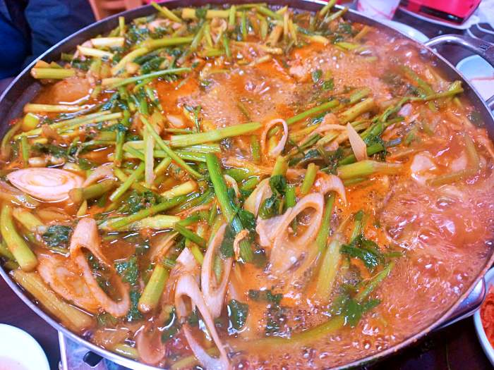 OBS 어서옵쇼 가볼만한 곳, 파주 깊고 진한 맛, 참게 매운탕 맛집